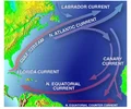 <p>westward along equator</p>