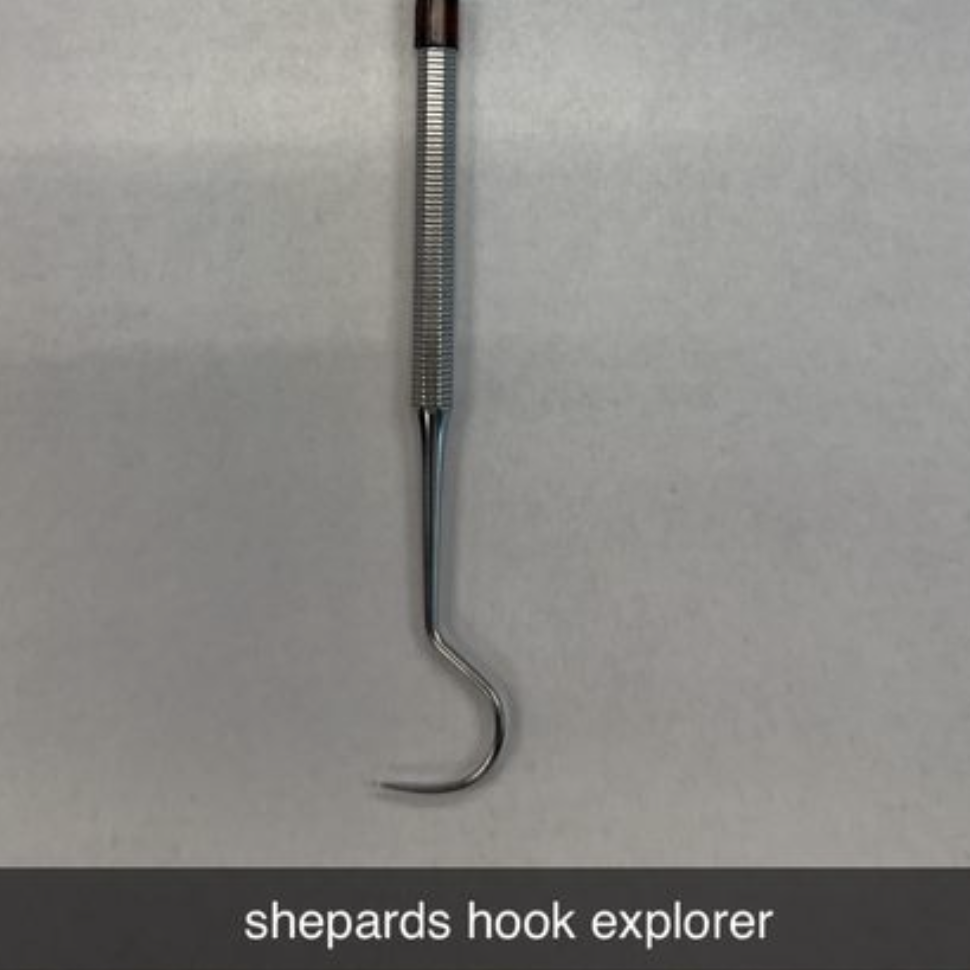 <p>SHEPARDS HOOK EXPLORER</p>