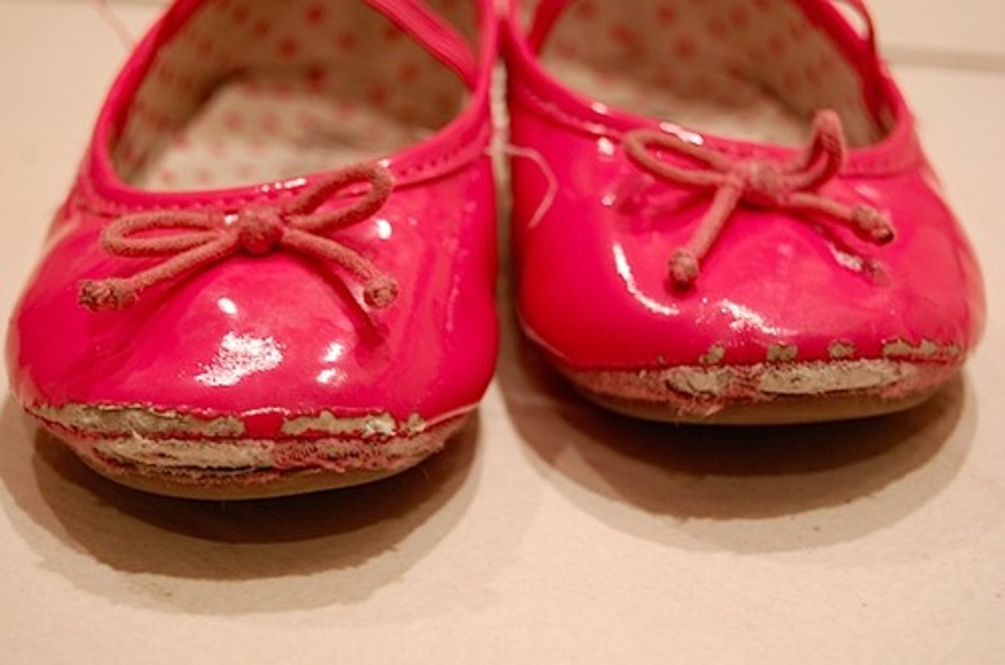 <p>Aging results from accumulated damage to cells/tissues due to use, environmental assaults, and mechanical wear, reducing organism function over time.</p>