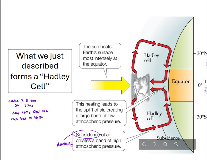 <p>The flow of air at the equator </p>