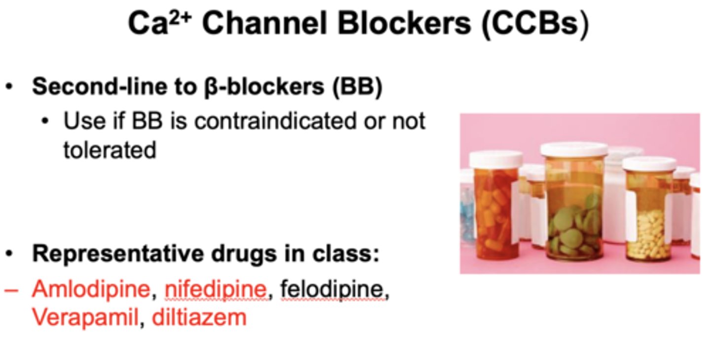 <p>Ca2+ Channel Blockers (CCBs)</p>