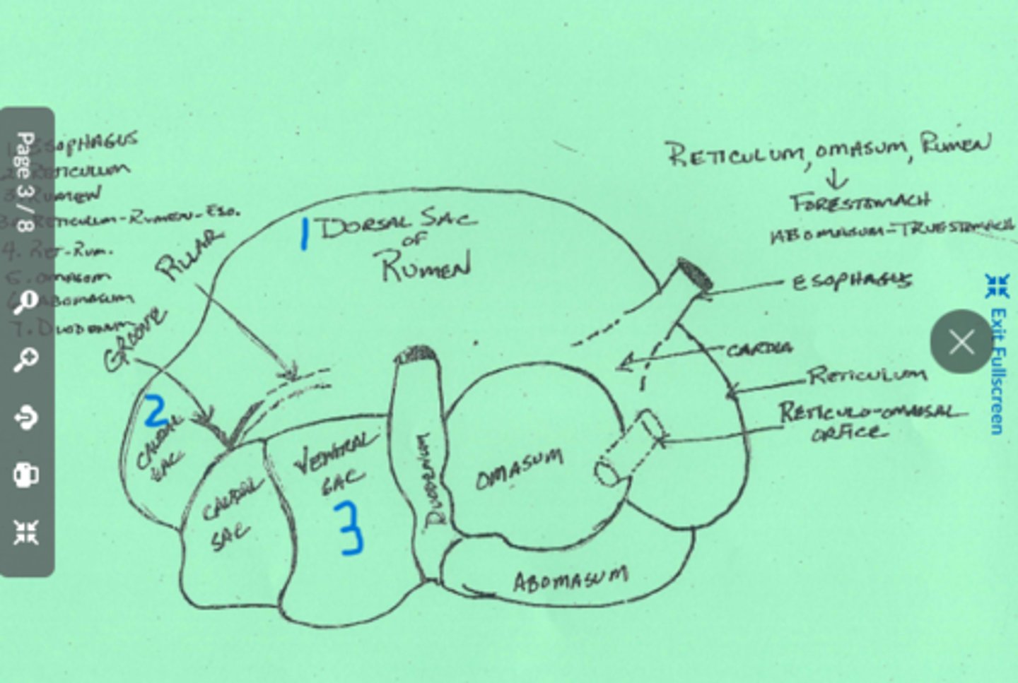 knowt flashcard image