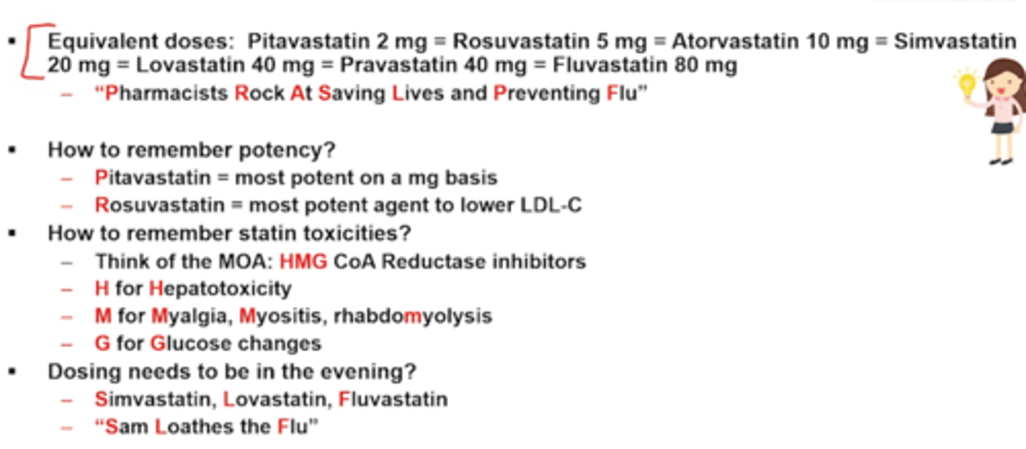 <p>Pharmacists Rock At Saving Lives and Preventing Fat/Flu</p><p>Pitavastatin 2 mg</p><p>Rosuvastatin 5 mg</p><p>Atorvastatin 10 mg</p><p>Simvastatin 20 mg</p><p>Lovastatin 40 mg</p><p>Pravastatin 40 mg</p><p>Fluvastatin 80 mg</p><p>Potency</p><p>+ Pitivastatin = most Potent on a mg basis</p><p>+ Rosuvastatin = most potent agent to lower LDL</p><p>Toxicities</p><p>Think MOA: HMG</p><p>+ H = hepatotoxicity</p><p>+ M = Myalgia (muscle soreness), Myositis (muscle inflammation), myopathy (muscle weakness + cpk elevation) rhabdoMyolysis (muscule sx with high CPK = can cause renal failure)</p><p>+ G = Glucose changes</p><p>Dosing needed to be in evening?</p><p>+ Simvastatin (Zocor), Lovastatin (Altoprev - evening meal), Fluvastatin (Lescol)</p><p>+ Saving Lives from FLU</p>