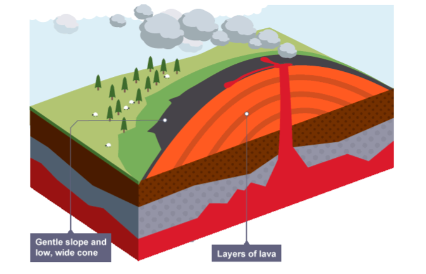 <p>State <strong>3 facts</strong> about <strong>shield volcanoes</strong></p>