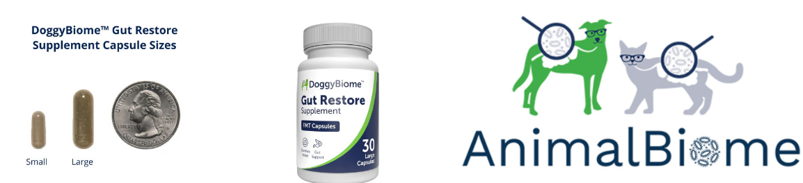 <p>commercially available to public freeze-dried fecal microbiota in enteric-coated capsules or powder for dogs and cats (expensive!)&nbsp;</p>
