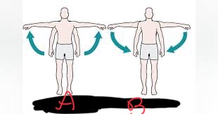 <p>Which one is abduction and adduction?</p>