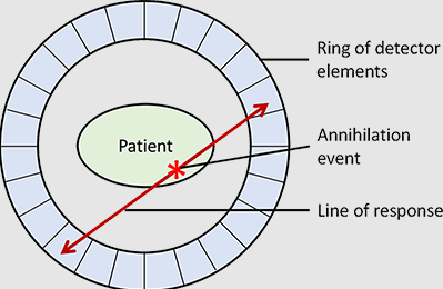 <p><span>What is a <strong>line of response</strong>?</span></p>