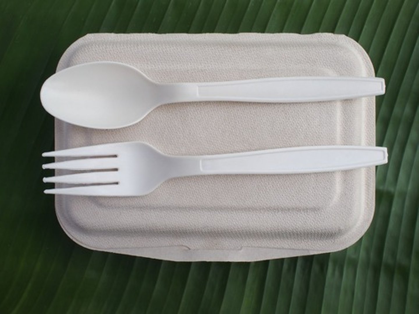 <p>Transparent, tough, naturally biodegrades.</p><p>Biodegradable packaging film.</p>