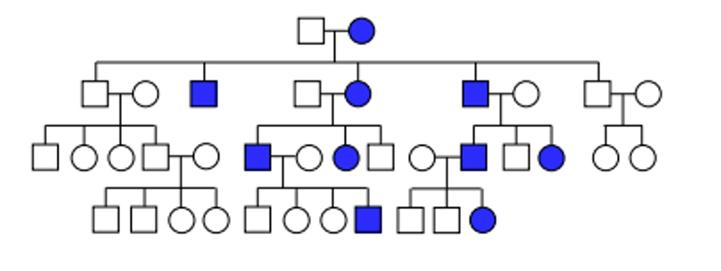 <p>Pattern of inheritance?</p>