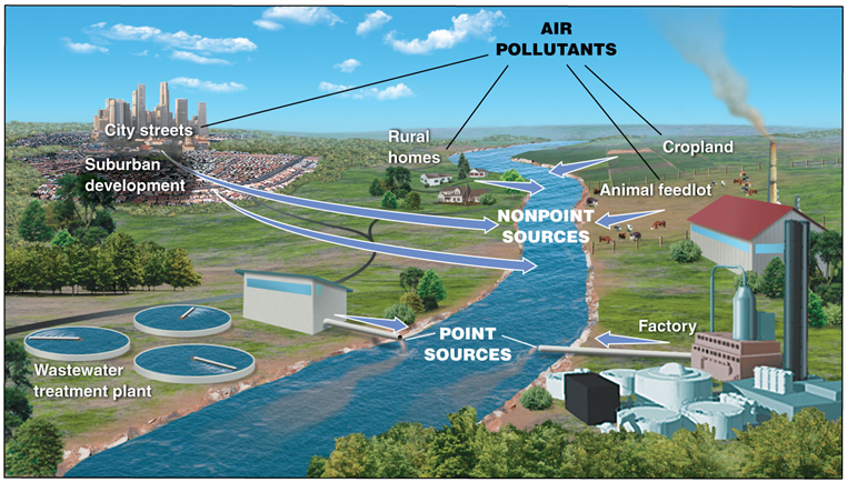 <p><span><span>•poorly defined and scattered</span></span></p><p><span><span>•Agricultural runoff, storm-water runoff (streets, parking lots, lawns), atmospheric deposition</span></span></p><p><span><span>Solution: reduce/remove source</span></span></p>