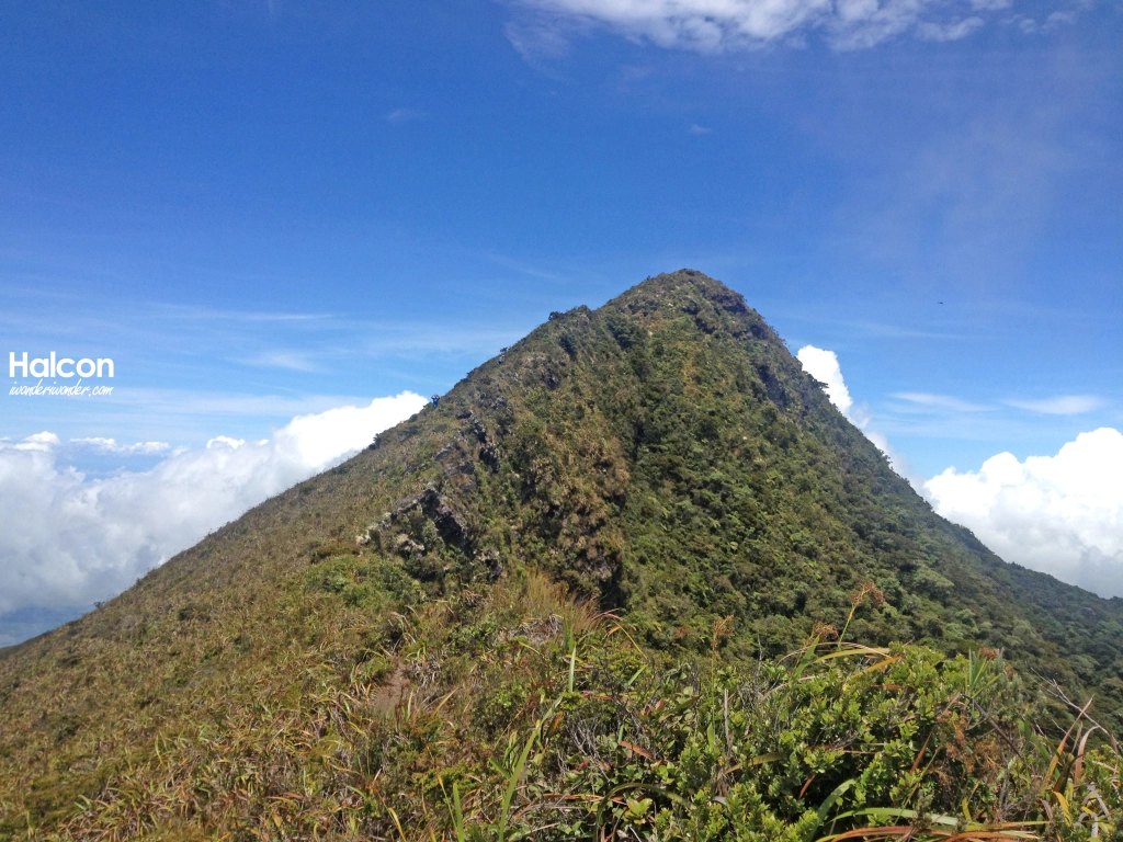 <p>Mount Halcon (Oriental Mindoro)</p>