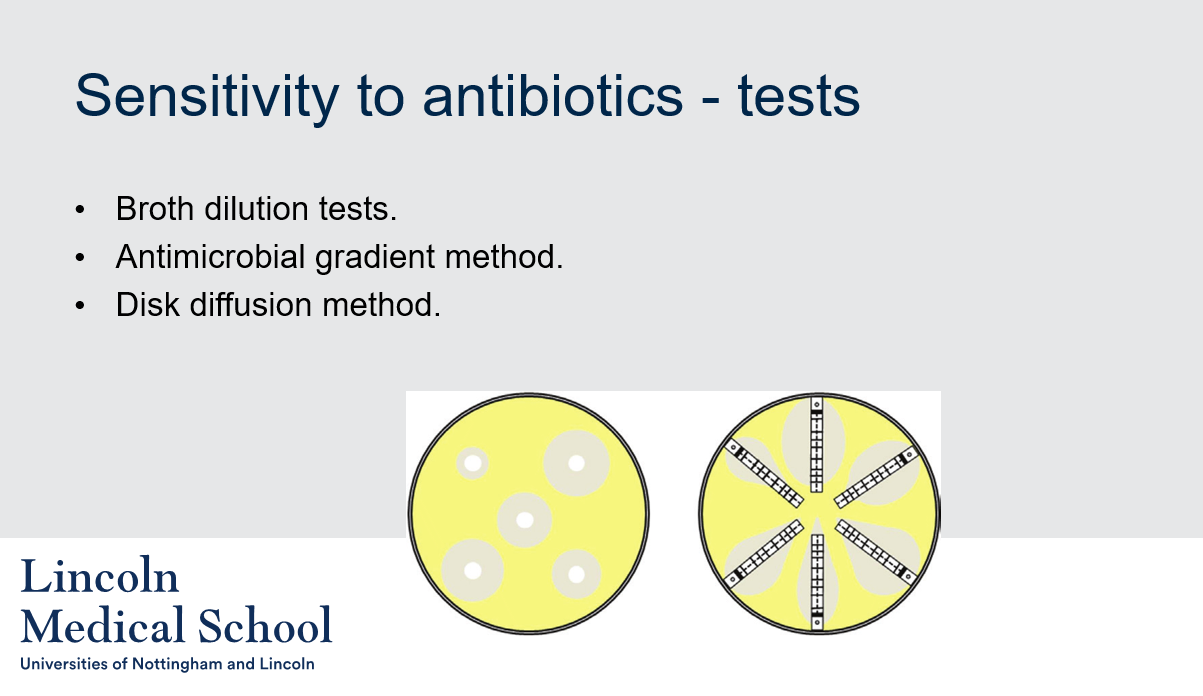 <ol><li><p>Some methods used for antibiotic sensitivity testing include broth dilution tests, antimicrobial gradient method, and disk diffusion method.</p></li><li><p>The broth dilution test is a method used for antibiotic sensitivity testing in which different concentrations of antibiotics are added to bacterial cultures in liquid media. The lowest concentration of antibiotic that prevents visible bacterial growth is the minimum inhibitory concentration (MIC), which is used to determine antibiotic susceptibility.</p></li><li><p>The antimicrobial gradient method is a method used for antibiotic sensitivity testing in which paper strips impregnated with different concentrations of antibiotics are placed on an agar plate that has been inoculated with bacteria. As the antibiotic diffuses into the agar, a gradient of antibiotic concentration is established, and the zone of bacterial growth inhibition is used to determine antibiotic susceptibility.</p></li><li><p>The disk diffusion method is a method used for antibiotic sensitivity testing in which paper disks containing different antibiotics are placed on an agar plate that has been inoculated with bacteria. As the antibiotic diffuses into the agar, a zone of bacterial growth inhibition is formed around the disk, which is used to determine antibiotic susceptibility.</p></li></ol>