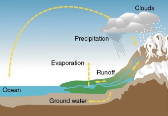 <p>Hydrologic Cycle</p>