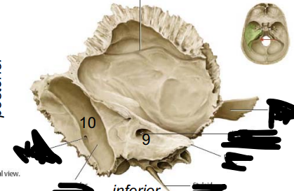 <p>What is 10</p>