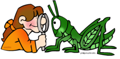 The idea that knowledge and understanding comes from your senses and experience, through observation and experimentation.