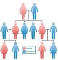 The genetic transmission of characteristics from parent to offspring.