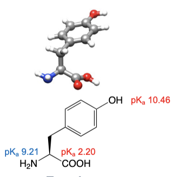 <ul><li><p>abbreviations: Tyr, Y</p></li><li><p>R group can have favourable interactions with water</p></li></ul><p></p>
