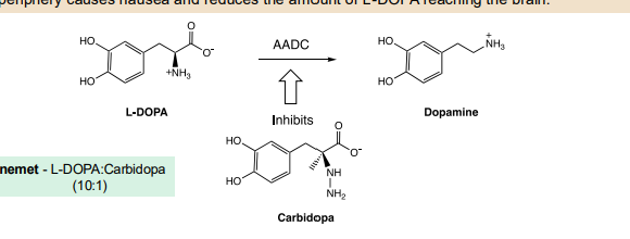 <p>uses knowledge of drug target structure or enzyme mechanism (or both) to discover molecules that bind and modulate the activity of the target</p><p>Ex: HIV protease inhibitors </p><p>• Serendipity played a role – sequencing of HIV showed it contained a protease related to pepsin and thiapepsin, already well-studied aspartic proteases </p><p>• It was immediately hypothesized that pepsin inhibitors already developed could be an excellent starting point for an anti-HIV protease based drug</p><p></p><p>Ex: Carbidopa adjunct </p><p>Carbidopa is an inhibitor of Amino Acid Decarboxylase, the enzyme that converts L-DOPA to dopamine. Crucially, carbidopa, unlike L-DOPA, does not cross the Blood Brain Barrier</p>