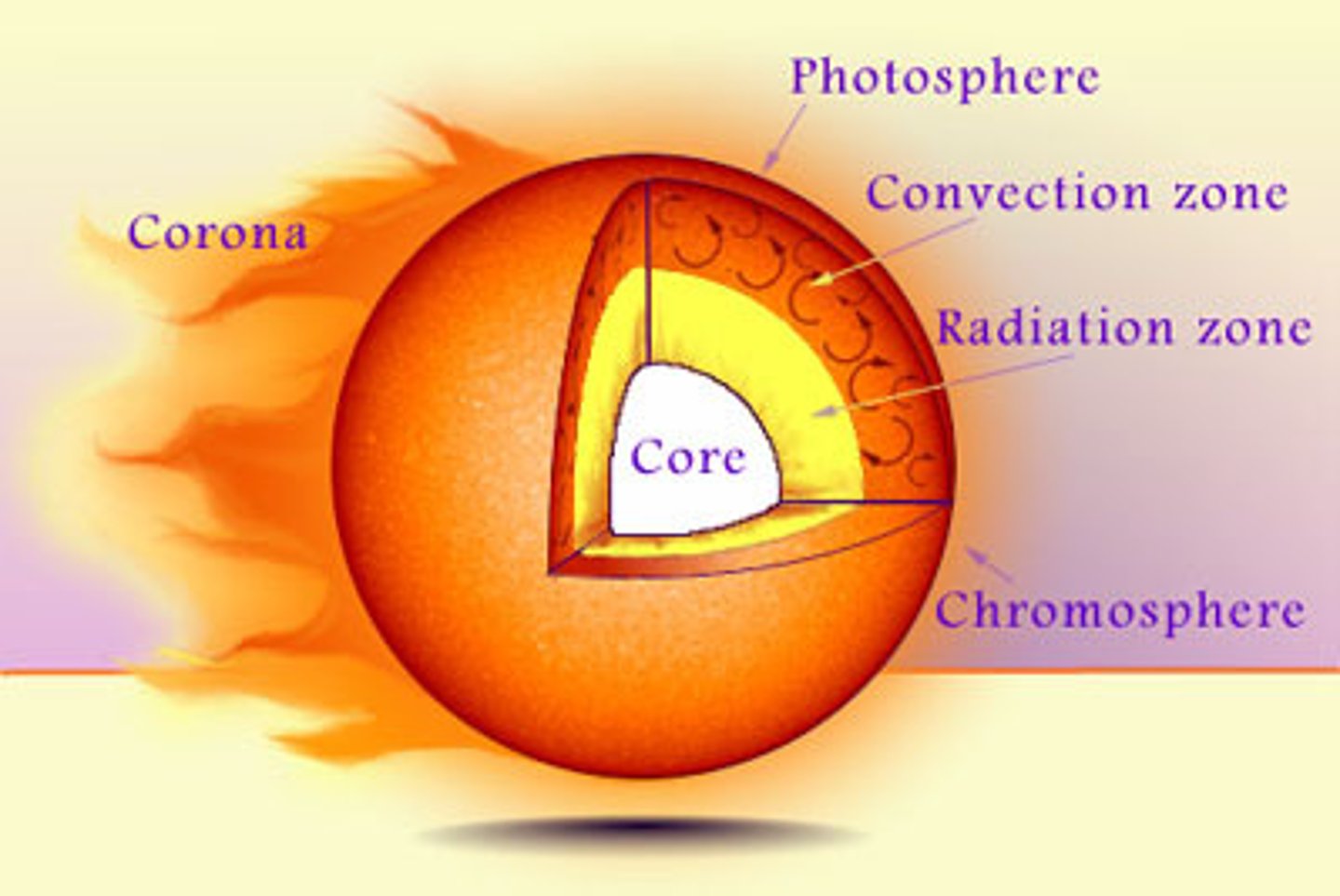<p>outermost layer of the sun's interior, rising and falling currents, like boiling water</p>