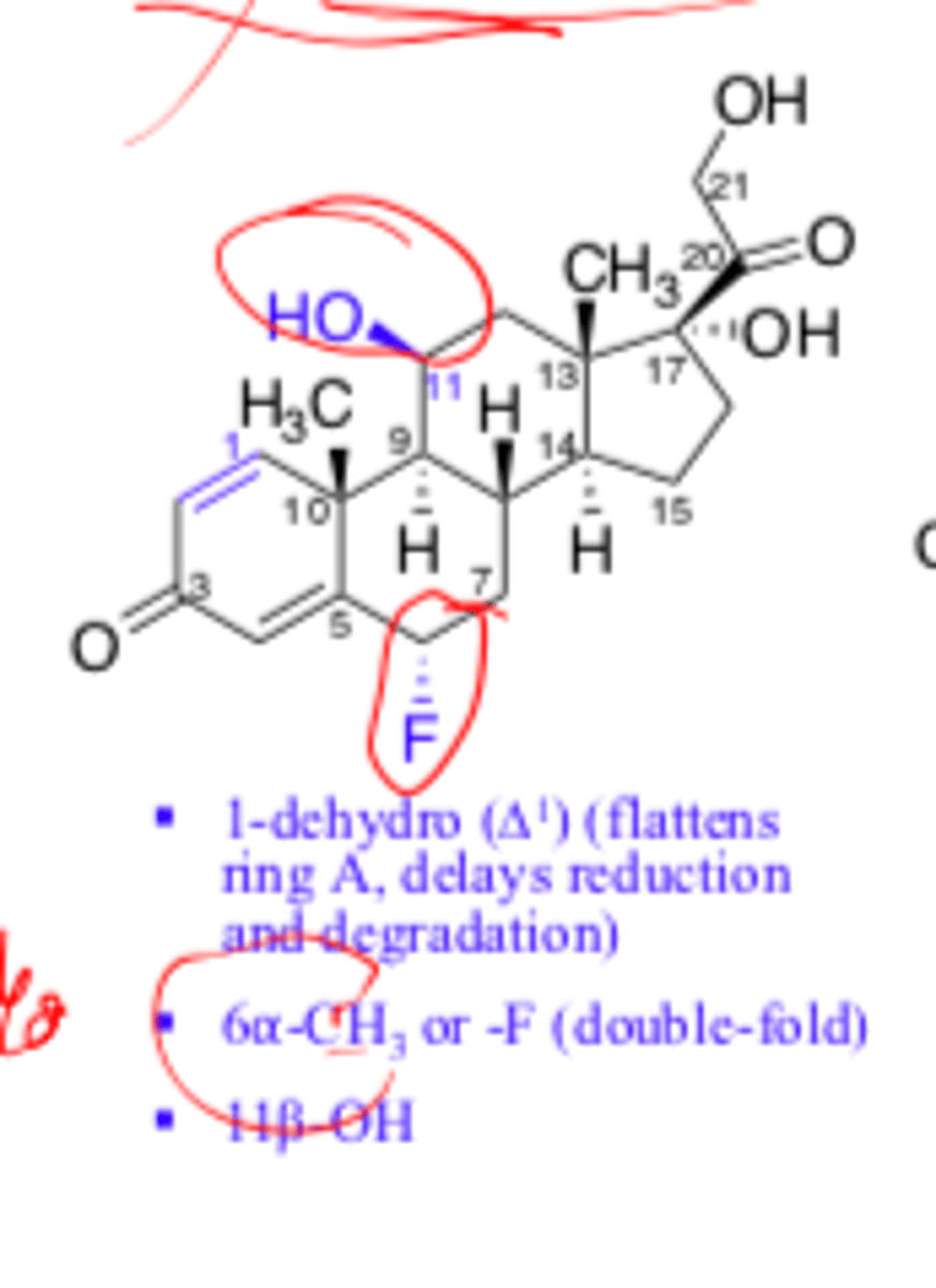 <p>1-dehydro (∆1) [flattens ring A, delays reduction and degradation)</p><p>6α-CH3 or F (double-fold)</p><p>11β-OH</p>
