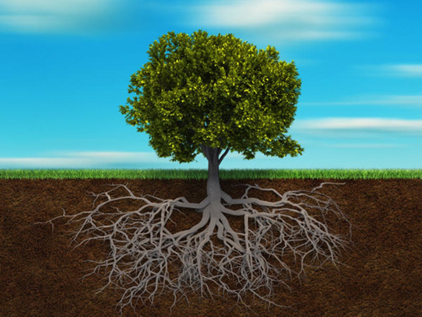 <p>Firmly established (ingrained, rooted)</p>