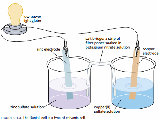 <ul><li><p>light globe or galvanometer (an instrument for detecting electric current)</p></li><li><p>salt bridge</p></li><li><p>2 electrodes (usually solid &amp; are labeled as <strong>cathode or anode</strong>) with corresponding (electrolyte) solutions</p></li><li><p>2 beakers</p></li><li><p>wires to connect the electrodes to the light globe or galvanometer</p></li></ul><p></p>