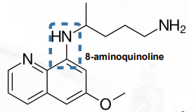 <p>QUINOLINE ANTIMALARIALS</p><p></p>