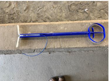 Species? Function? Name?