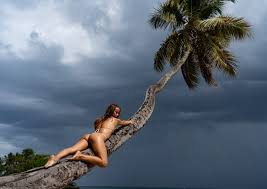 <p>tree</p>