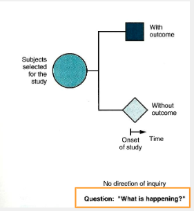 <p>magnitude; direction</p>