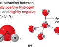 <p>Reversible - form, break, and re-form</p><p>Weaker</p><p>These are the bonds that break when H2O boils</p><p>Results from polarity &amp; lead to all properties of H2O</p>