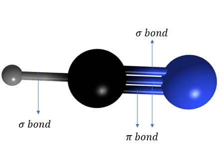 <ul><li><p>Hydrogen cyanide contains a <strong>triple bond</strong></p></li><li><p>One σ bond is formed between the H and C atom (<strong>overlap of an sp C hybridised orbital with the 1s H orbital)</strong></p></li><li><p>A second σ bond is formed between the C and N atom (<strong>overlap of an sp C hybridised orbital with an sp orbital of N)</strong></p></li><li><p>The remaining <strong>two sets</strong> of p orbitals of <strong>nitrogen and carbon </strong>will overlap to form <strong>two</strong> <strong>π bonds </strong>at right angles to each other</p></li></ul><p></p>