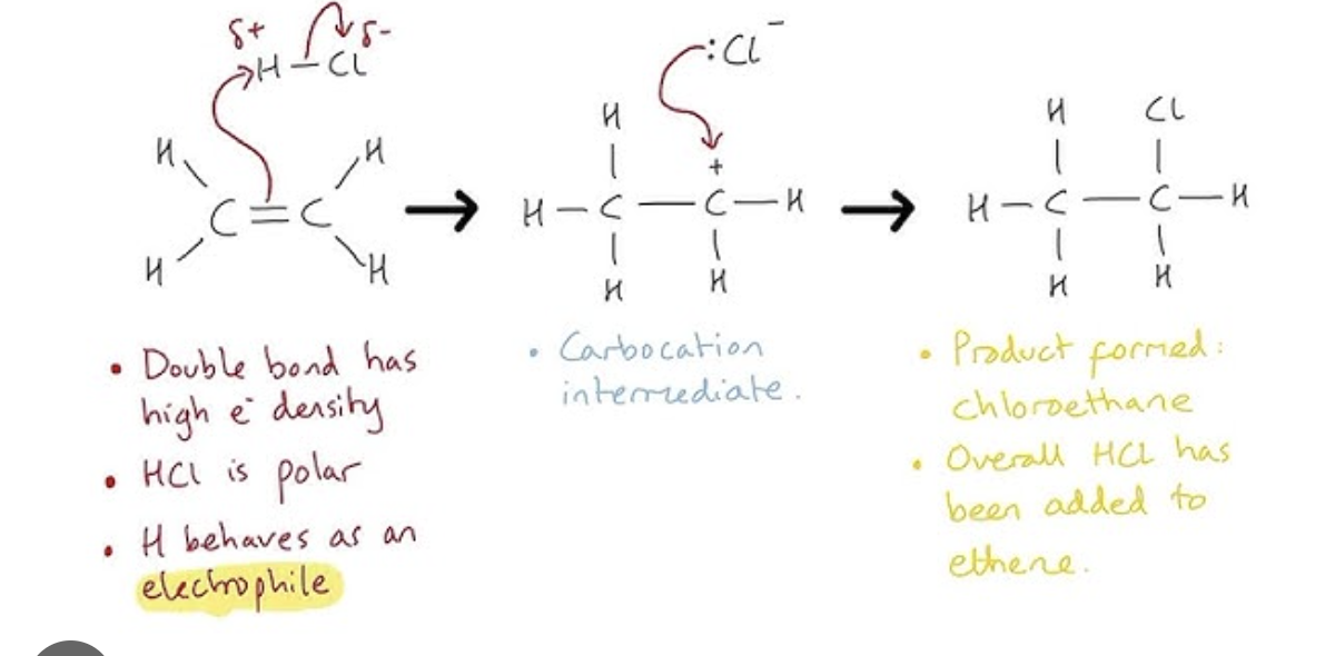 <ul><li><p>hydrogen and halogen added across double bond</p></li><li><p>due to decreasing bond enthalpy down the group, the fastest reaction is HI</p></li><li><p>hydrogen halides are polar due to different electronegativities</p><ul><li><p>halogen has a partial negative charge, and hydrogen partial positive</p></li></ul></li><li><p>the H atom acts as electrophile and lewis acid by accepting a pair of electron from C=C in alkene</p><ul><li><p>H-X breaks heterolytically forming X- ion</p></li></ul></li><li><p>this forms a highly reactive carbocation which reacted with X- ion</p></li></ul><p></p>