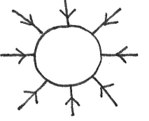<ul><li><p>The field is stronger nearer the surface of the object, and weakens as you move further away</p></li><li><p>For a positive charge, the arrows point outwards</p></li><li><p>For a negative, the arrows point inwards </p></li></ul><p></p>
