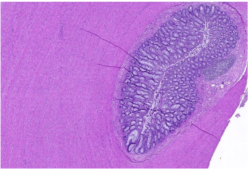 <p>wat zie je hier</p>