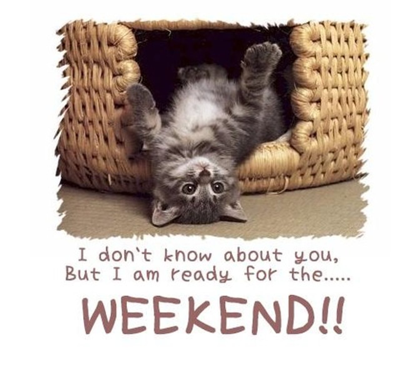 <p>Did you have a good weekend?</p>