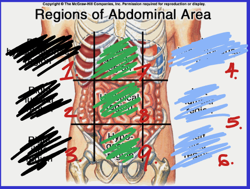 <p>Regions 4, 5, and 6</p>