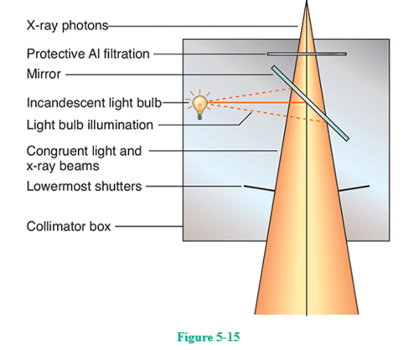 <p>68. (B)</p><p>The collimator assembly includes a series of lead shutters, a mirror, and a light bulb (Fig. 5-15). The mirror and light bulb function to project the size, location, and center of the irradiated field. The bulb's emitted beam of light is deflected by a mirror placed at an angle of 45° in the path of the light beam. In order for the projected light beam to be the same size as the x-ray beam, the focal spot and the light bulb must be exactly the same distance from the center of the mirror.</p>