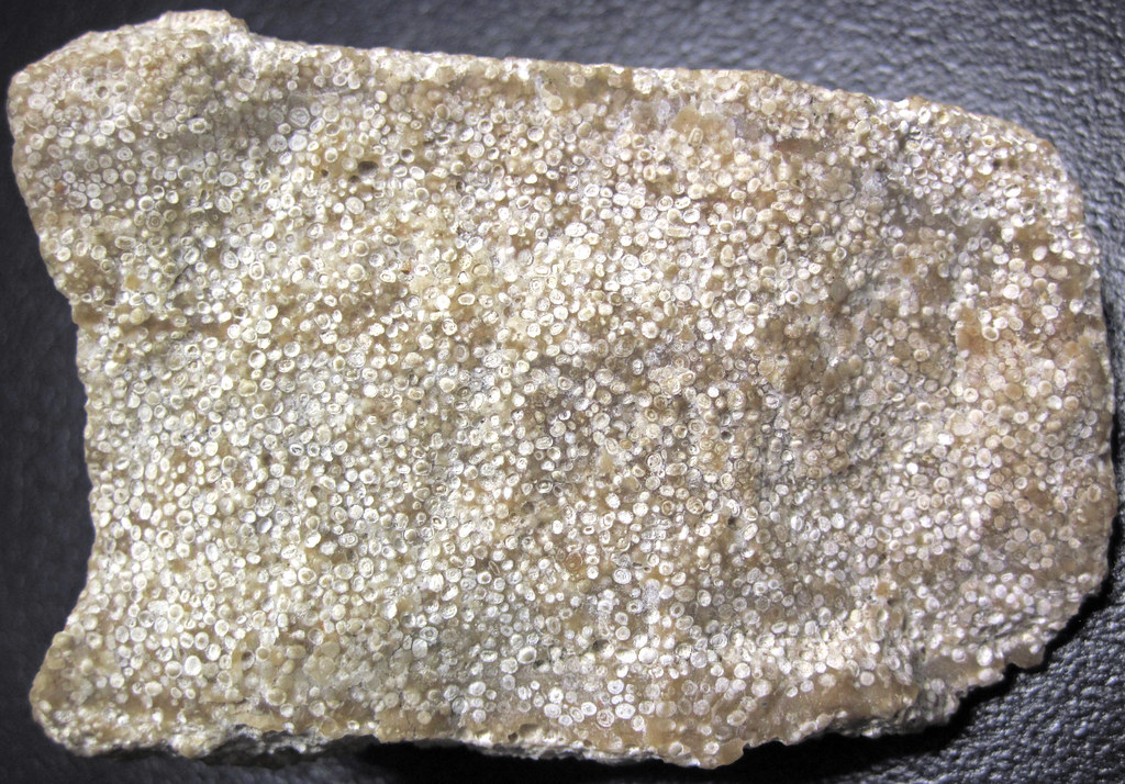 <p>#39, sedimentary, chemical, will not readily fizz in acid</p>