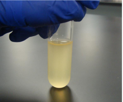 <p>What is the characteristic of this culture medium?</p>
