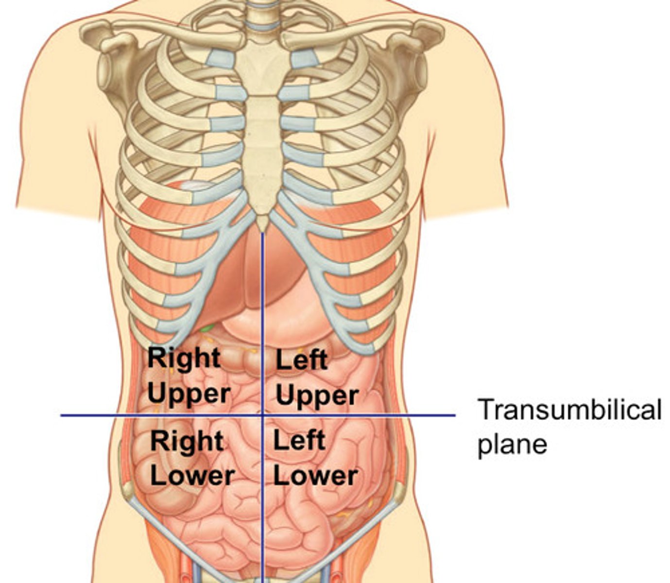 <p>See Diagram</p>