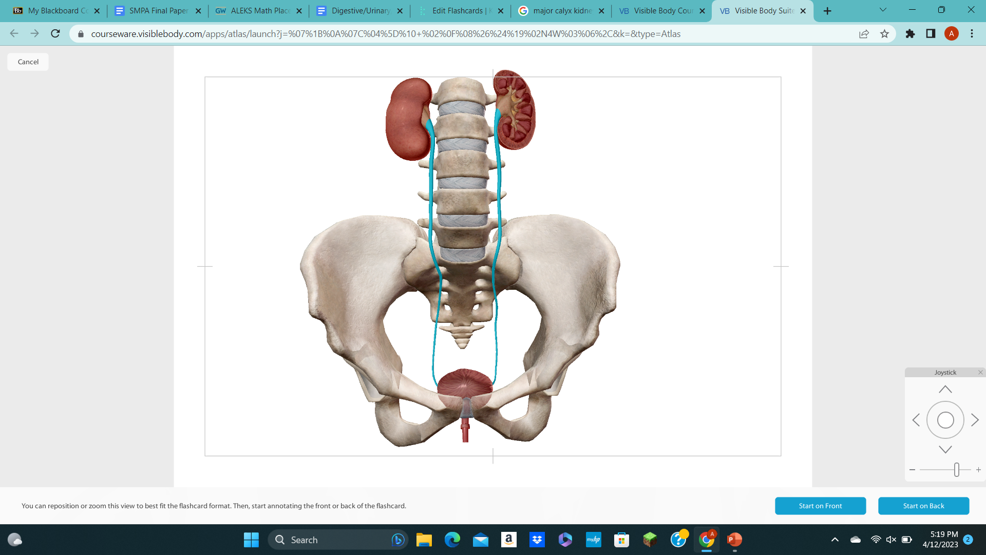knowt flashcard image