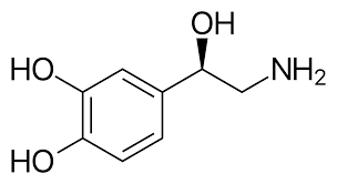 <p>Synthesized from tyrosine (which converts to dopa and then dopamine), associated with depression and manic states.</p>
