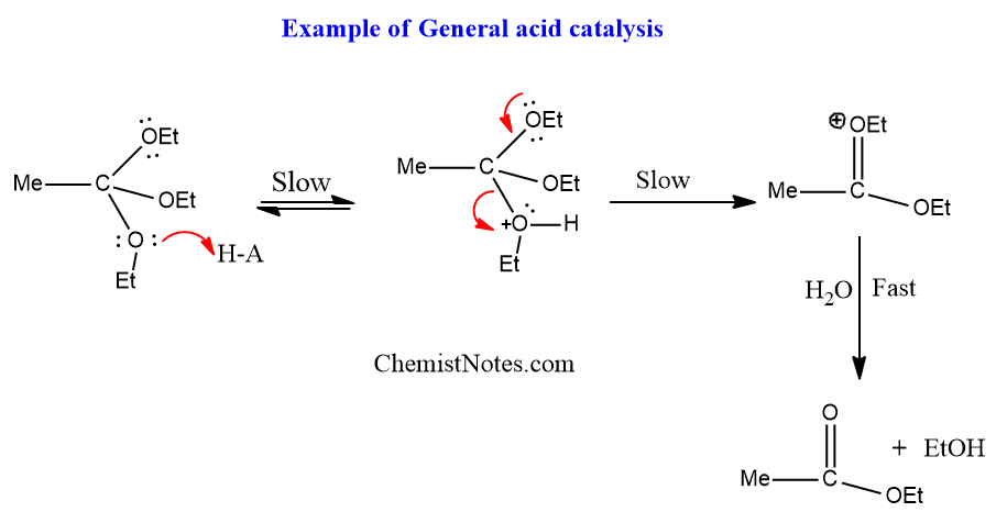 <p>A mechanisms where a residue in the active site (other than water) acts as a proton donor or acceptor</p>