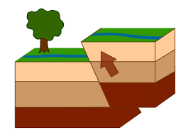 <p>Reverse Fault</p><p>Lesson 2.2.1 <strong>Deformation &amp; Metamorphism</strong></p>