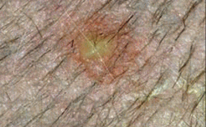 <p>what is the image showing?</p>