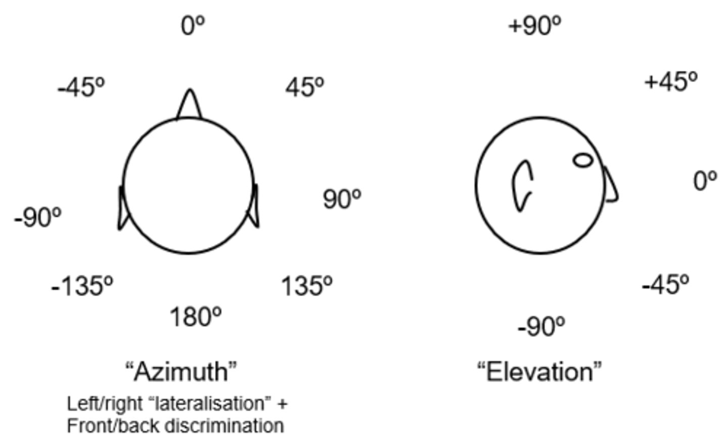 <p>Sound direction has</p><p>-Azimuth - left/right lateralisation + front/back discrimination</p><p>-Elevation</p><p>Sound localisation has a third</p><p>-externalisation + distance</p>