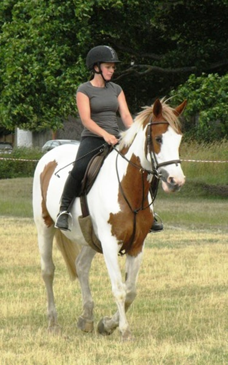 <p>montar a caballo</p>