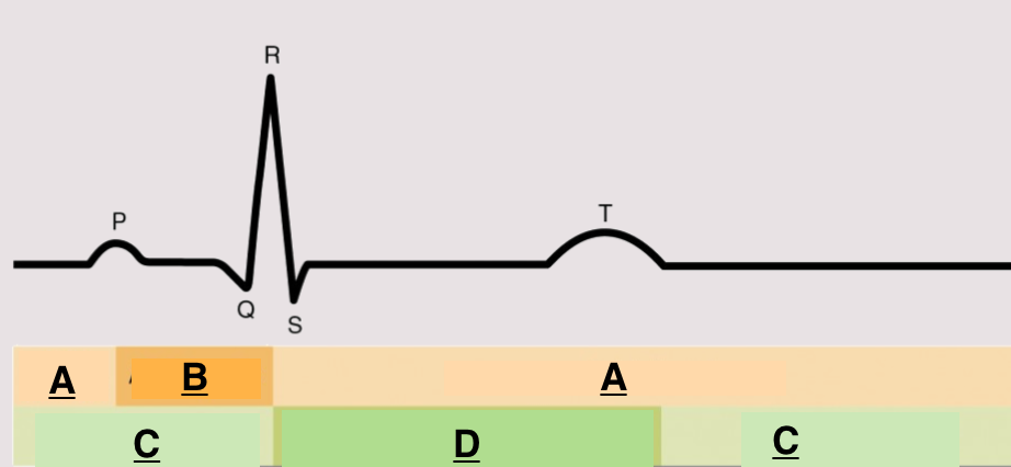 <p>what is happening in the regions marked C</p>