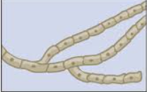 <p>What is this?</p>